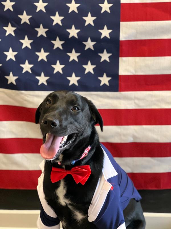 /Images/uploads/Mid County Chamber of Commerce/pet-mayor-2022/entries/24712thumb.jpg